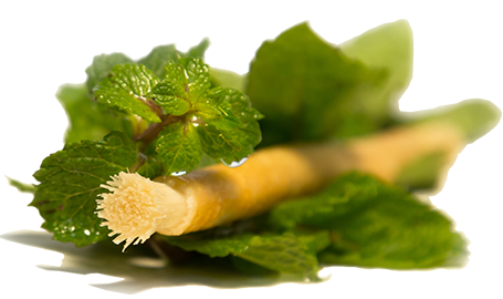 Siwak Miswak al gusto di menta
